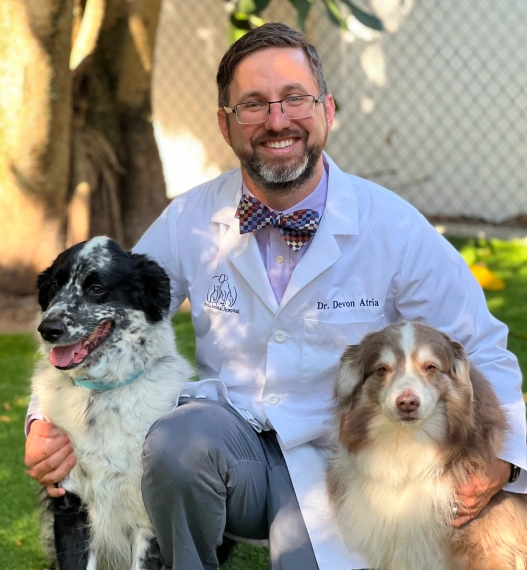 Dr. Devon Atria