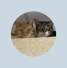 Chauncy & Carl