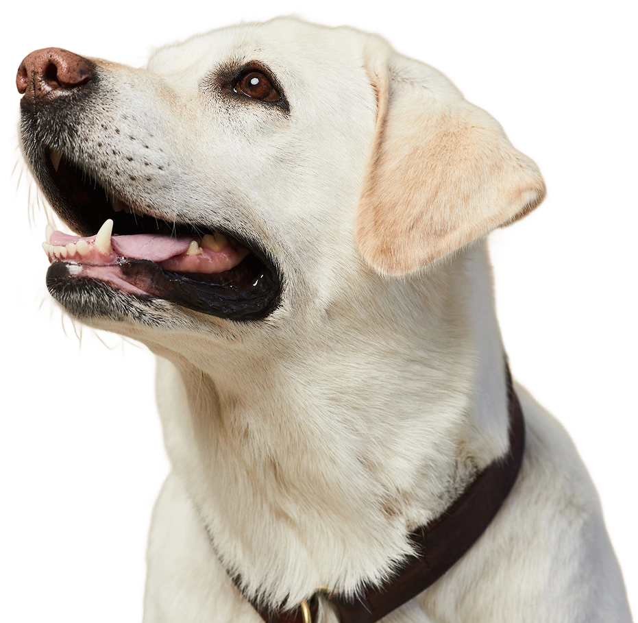 We Are Excited to Meet New Clients