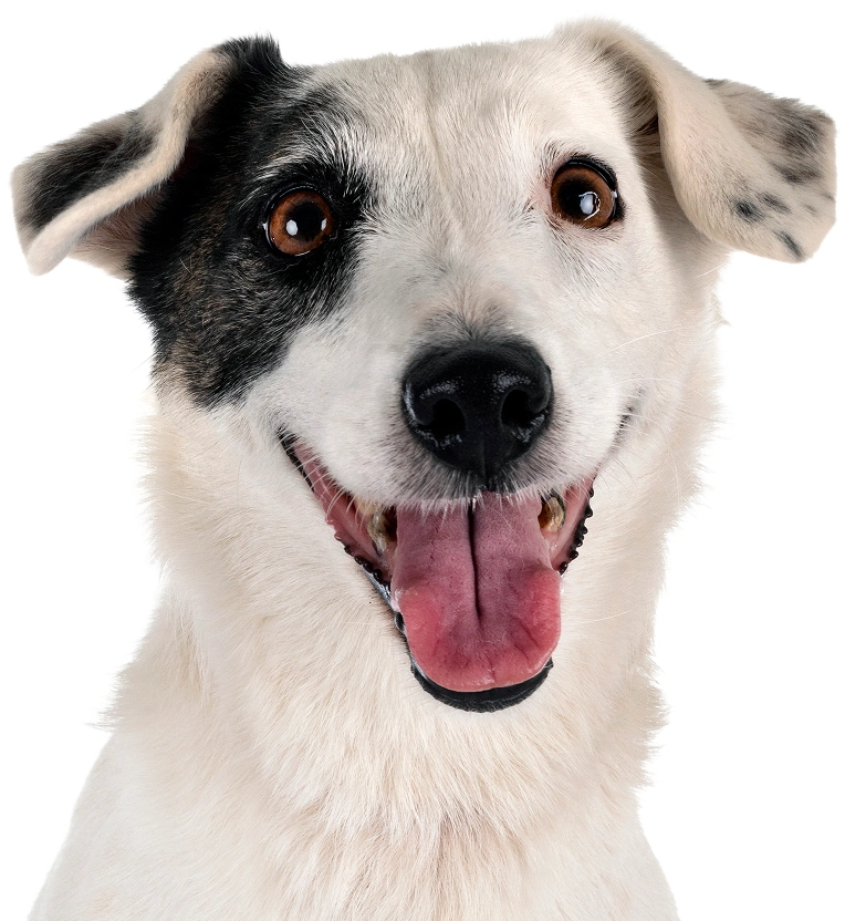 Access Our Online Store