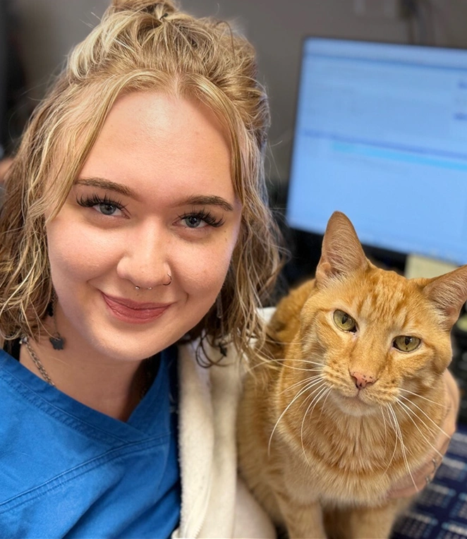 Welcome to Acacia Animal Hospital