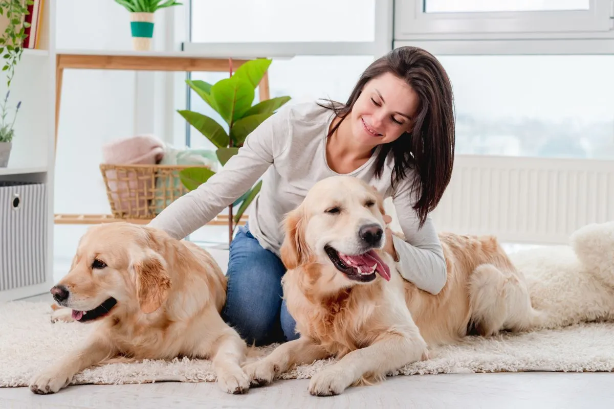Routine care tips to keep your pet happy and healthy