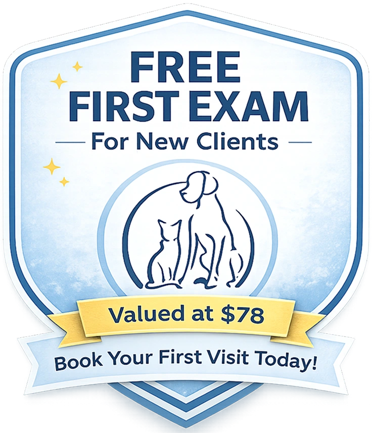 Free First Exam