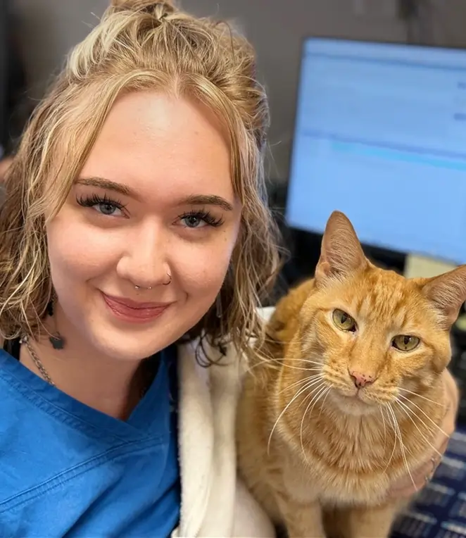 Welcome to Acacia Animal Hospital