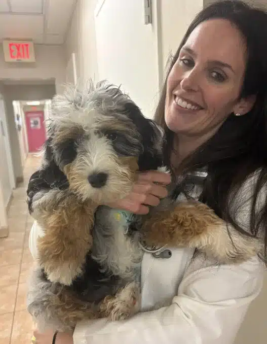 Urgent Pet Care